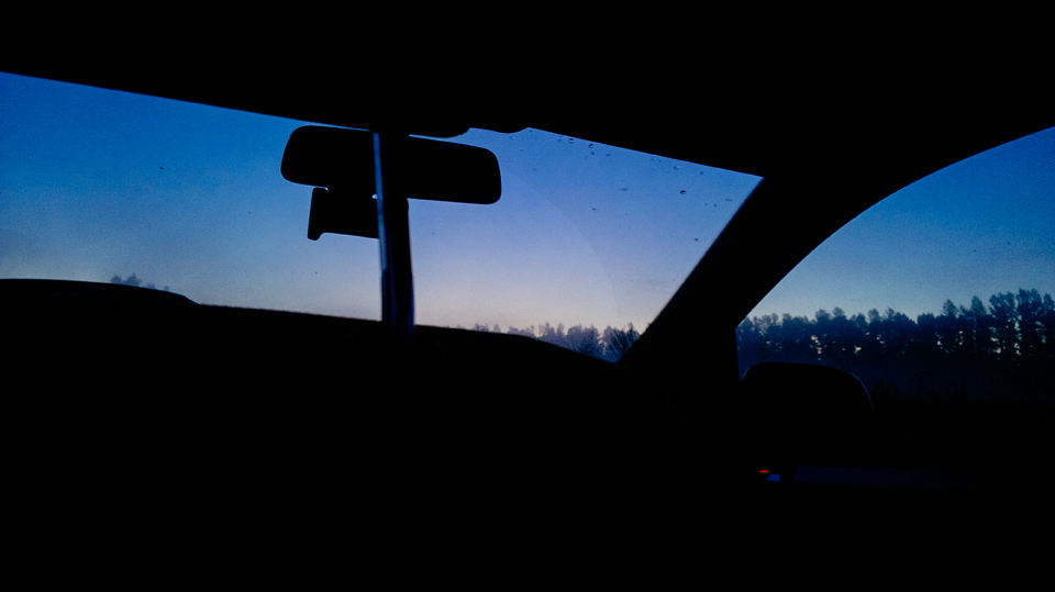 BirdsMeadow-2012, night from car