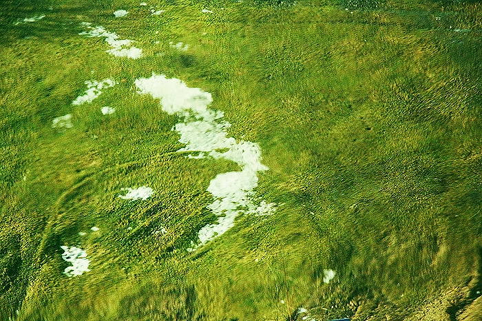 трава.снег.стекло